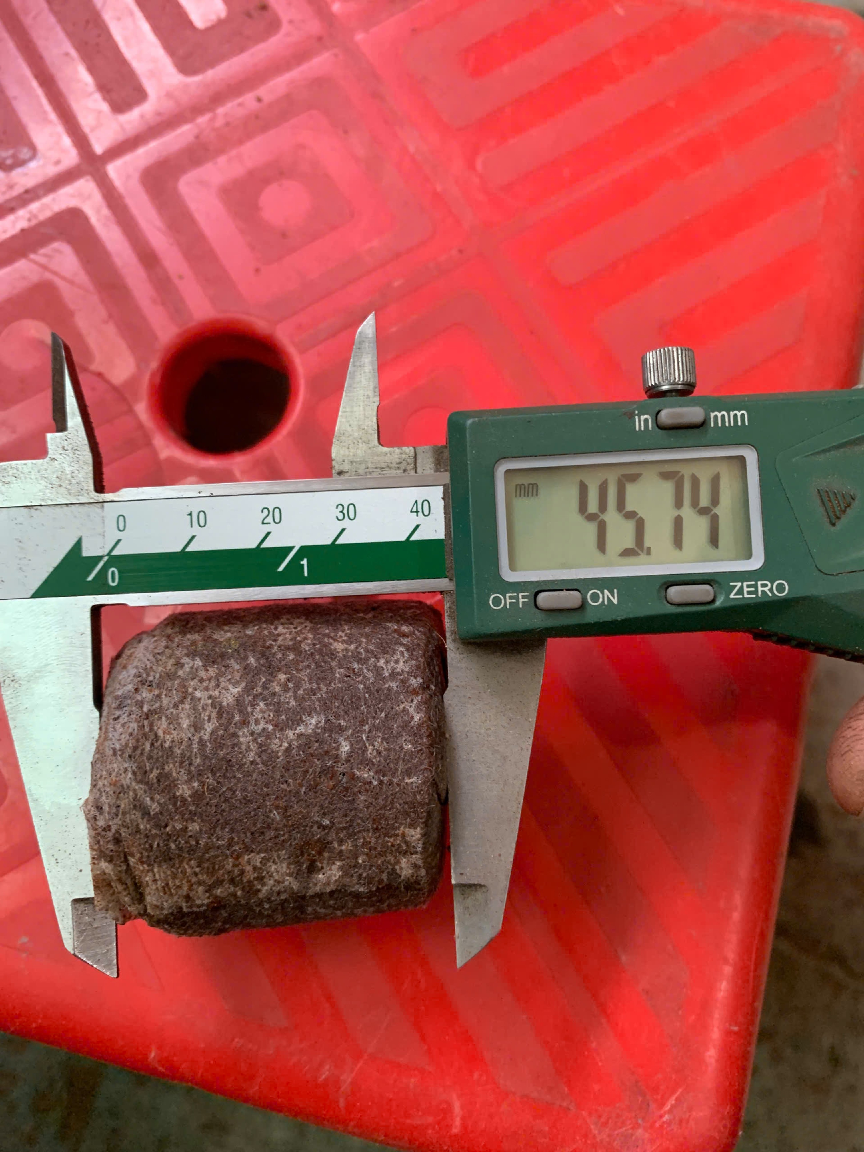 viên nén xơ dừa sau khi ngâm nước