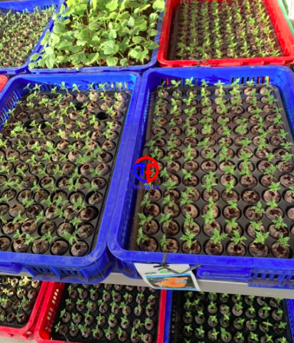 Chuyên làm máy viên nén giống cây trồng