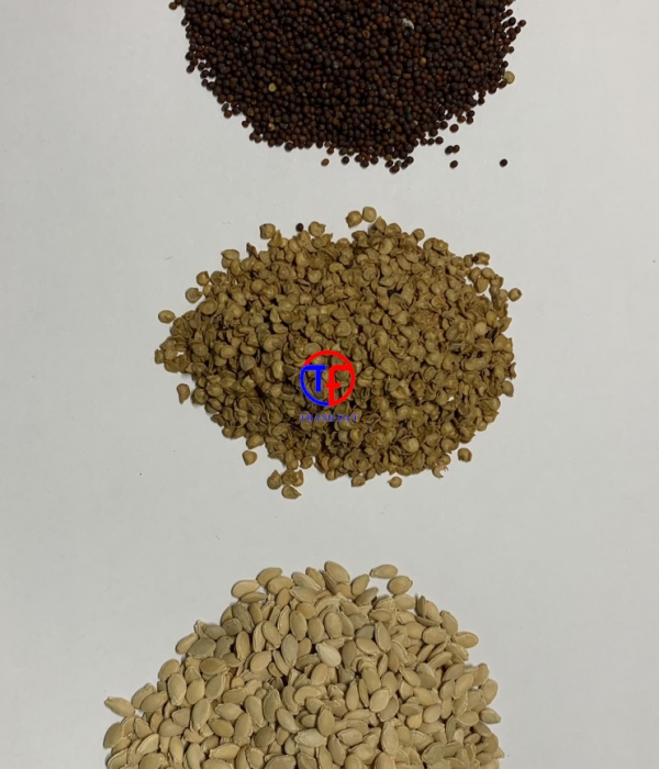 Máy đóng gói các loại hạt - bột - dung dịch